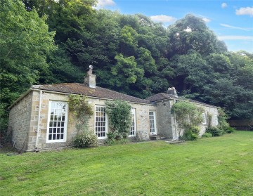 image of Clint, Nr Marske